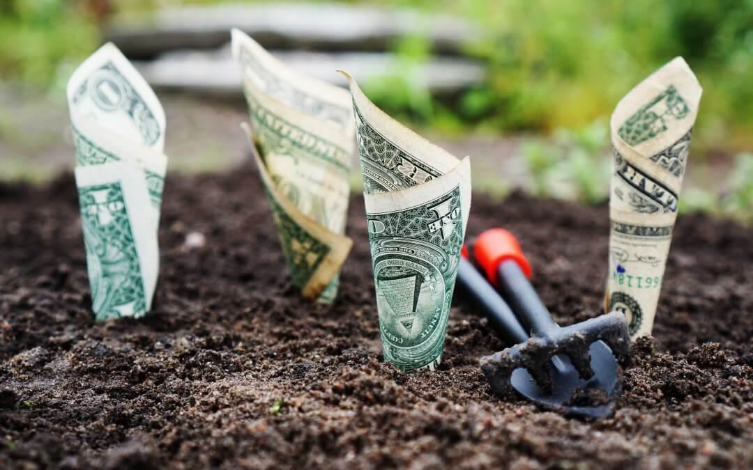 Image shows bank notes in soil.